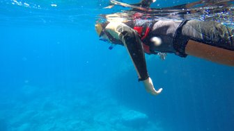 Eine Person schwimmt unter Wasser, umgeben von klarem, blauem Wasser und Felsen, während sie schnorchelt.