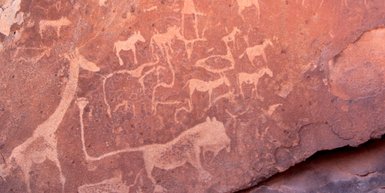 Mehrere Felszeichnungen zeigen unterschiedliche Tiere - Namibia Urlaub mit Kindern