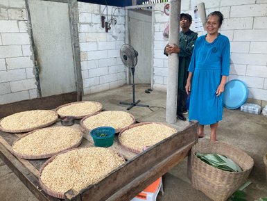 Herstellung von Reis im traditionellen Dorf Candirejo – Indonesien Familienreise