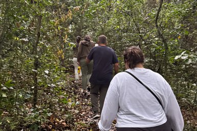 Gruppe von Wanderern erkundet den üppigen Regenwald Arusha – Tansania Familienreise
