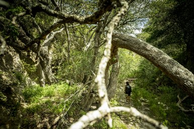 Spaziergang auf einem Naturpfad im The Hoop Nature Reserve – Südafrika Reise mit Kindern