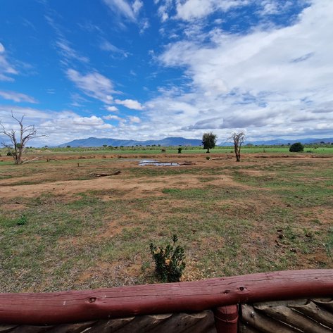 Eine weite Landschaft mit trockener Erde, vereinzelten Bäumen und einem klaren blauen Himmel mit Wolken im Tsavo Nationalpark.