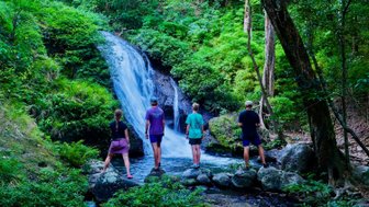 Eine Gruppe von vier Personen steht in einem üppigen, grünen Waldufer an einem kleinen Wasserfall und genießt die Aussicht.