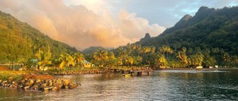 Eine malerische Küstenlandschaft mit üppigen Palmen und sanften Hügeln, die im warmen Licht der Abenddämmerung erstrahlen.