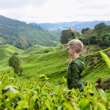 Kind genießt den weiten Ausblick auf die grüne Hügellandschaft der Cameron Highlands – Malaysia & Borneo Familienreise