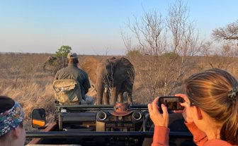 Eine Reisegruppe fotografiert einen Elefanten der durch die Savanne im Kruger Nationalpark schreitet – Südafrika Familienreise