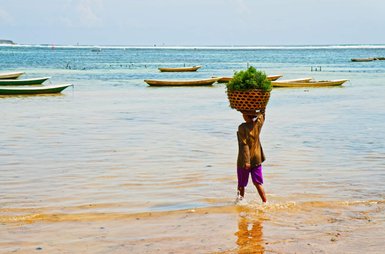 Einheimische Frau transportiert Algen auf dem Kopf – Bali Reise mit Kindern