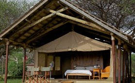 Ein Zelt im Tsavo Ost Nationalpark, umgeben von Bäumen, bietet eine gemütliche Unterkunft mit einem Bett und einem Stuhl.
