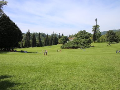 Park mit großen Bäumen und grünen Wiesen in Kandy – Sri Lanka Familienreise
