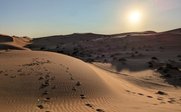 Fußspuren im Wüstensand - Oman Familienreise