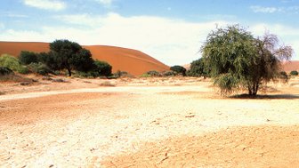 Ein Panoramablick zeigt den trockenen Boden einer Wüstenlandschaft - Namibia Urlaub mit Kindern