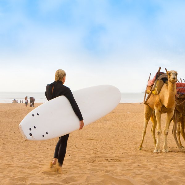 Ein Surfer in einem schwarzen Anzug trägt ein Surfbrett und geht an Kamelen vorbei, die am Strand stehen.
