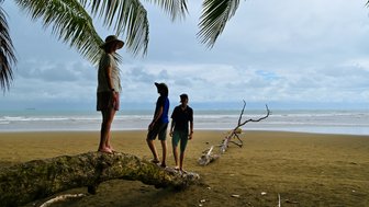 Ein Mann steht auf einem großen Baumstamm am Strand, während seine Freunde daneben stehen und die Umgebung genießen.