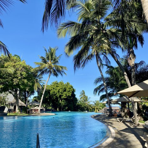 Ein einladender Pool umgeben von Palmen und üppigem Grün, unter einem strahlend blauen Himmel, ideal für Entspannung.
