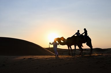 Jungen auf Kamelen als Silhouetten im Sonnenuntergang – Oman Familienreise