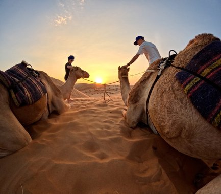 Kamele sitzen in der Wahiba-Wüste beim Sonnenuntergang – Oman Familienreise