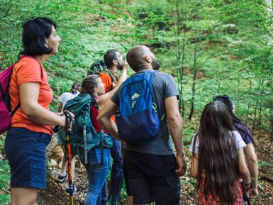 Eine Gruppe von Wanderern schaut fasziniert nach oben in den grünen Wald, während sie auf einem schmalen Pfad stehen.