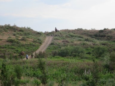Eine Gruppe von Menschen erkundet eine grüne Landschaft, während Kamele in der Nähe grasen und ein sanfter Hügel im Hintergrund sichtbar ist.