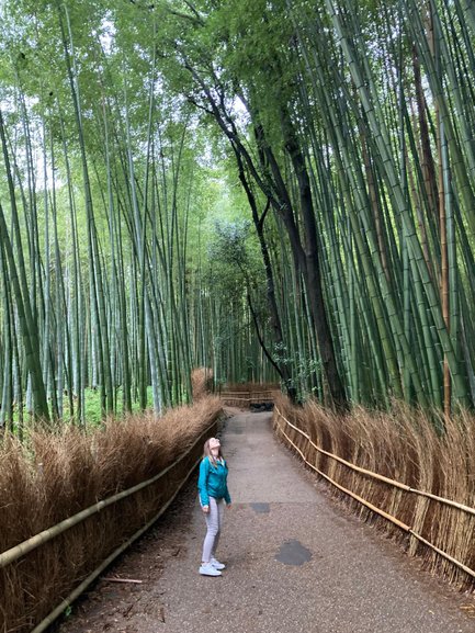 Eine Person steht auf einem Weg, umgeben von hohen Bambusbäumen, und schaut fasziniert nach oben.