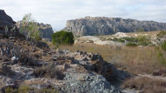 Eine weite Landschaft mit zerklüfteten Felsen und sanften Hügeln, die von spärlicher Vegetation umgeben sind.