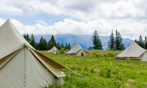 Eine Gruppe von Zelten steht auf einer grünen Wiese, umgeben von hohen Bäumen und majestätischen Bergen im Hintergrund.