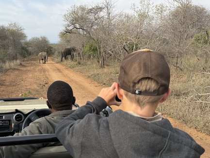 Junge auf Pirschfahrt im Krüger Nationalpark zu Elefanten - Südafrika mit Jugendlichen