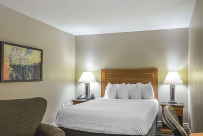 Ein gemütliches Hotelzimmer mit einem großen Bett, umgeben von sanften Farben und einer modernen Lampe auf dem Nachttisch.