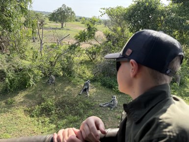 Ein Junge beobachtet neugierig eine Gruppe von Affen, die entspannt im grünen Gras sitzen und die Umgebung genießen.