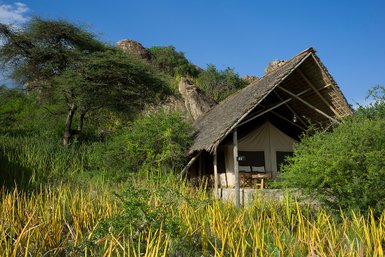 Ein gemütliches Zelt mit Strohdach steht inmitten üppiger, grüner Vegetation und leuchtend gelben Pflanzen.