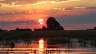 Ein atemberaubender Sonnenuntergang über dem Chobe-Fluss, mit leuchtenden Farben und reflektierenden Wellen im Wasser.