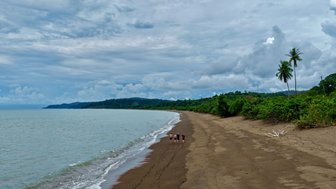 Drei Personen spazieren entlang eines ruhigen Strandes, umgeben von üppigem Grün und grauen Wolken am Himmel.