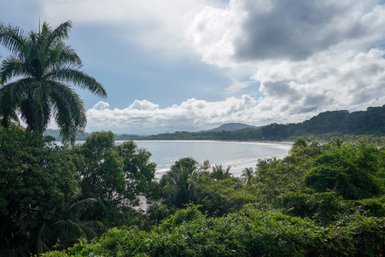 Üppige Palmen und natürliche Landschaft am Playa Carrillo – Costa Rica Reise mit Kindern