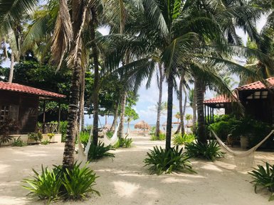 Ein ruhiger Strandbereich mit Palmen, Hängematten und einem Blick auf das Meer, ideal für Entspannung und Erholung.