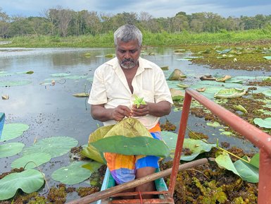 Einheimischer fertigt in der Nähe von Sigiriya einen traditionellen Hut – Sri Lanka Familienreise