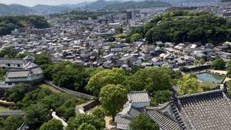 Blick von einem historischen Schlossdach auf eine weitläufige Stadtlandschaft mit grünen Hügeln im Hintergrund.