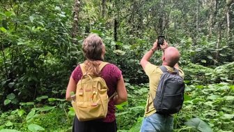 Zwei Personen stehen im dichten Dschungel und beobachten aufmerksam die Umgebung, während einer ein Foto macht.