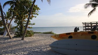 Ein ruhiger Strand mit Palmen, einem gelben Kajak und sanften Wellen, die den Sand umspülen, unter einem klaren Himmel.