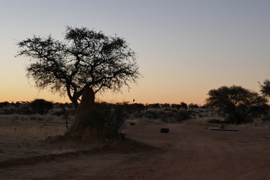 Die Landschaft verschwindet langsam in der Dunkelheit der Nacht, durch die untergehende Sonne - Namibia Rundreise mit Kindern