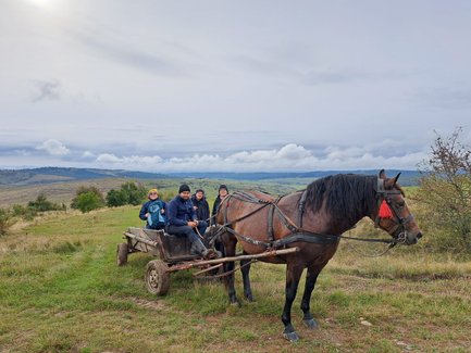 Eine Gruppe von vier Personen sitzt auf einem Holzwagen, der von einem Pferd auf einer grünen Wiese gezogen wird.