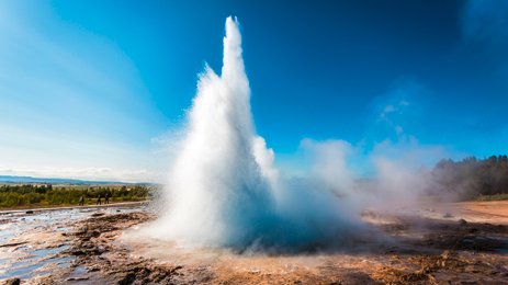 Ein beeindruckender Geysir sprudelt in die Höhe, umgeben von dampfenden Quellen und einer klaren blauen Himmel.