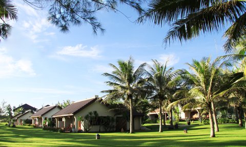 Eine ruhige Gartenlandschaft mit Palmen und mehreren Bungalows, die in der Sonne stehen und eine entspannte Atmosphäre schaffen.