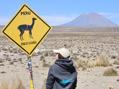 Eine Person steht vor einem gelben Schild, das eine Vikunja zeigt, mit einem majestätischen Berg im Hintergrund.