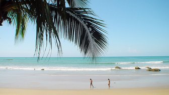 Zwei Kinder laufen am Strand entlang, während sanfte Wellen an die Küste schlagen und eine Palme im Vordergrund sichtbar ist.