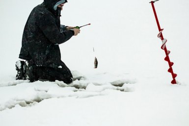 Ein Angler kniet im Schnee und hält einen Fisch, während er konzentriert auf das Eisloch schaut.