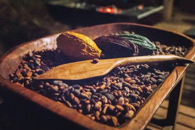 Eine Holzschaufel liegt auf einer Schale voller Kakaobohnen, während drei bunte Kakaofrüchte im Hintergrund sichtbar sind.