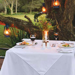 Ein romantisch gedeckter Tisch unter einem Baum, umgeben von Laternen und einer grünen Wiese, ideal für ein Abendessen.