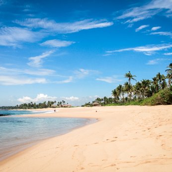 Unberührter Sandstrand mit Palmen in Tangalle – Sri Lanka Reise mit Kindern