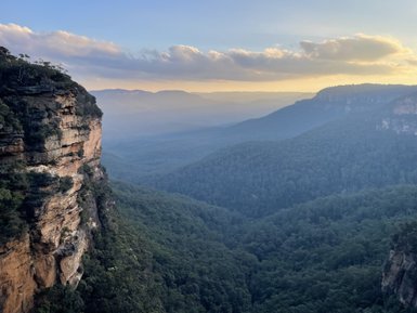 Imposante Klippen erheben sich über eine tiefgrüne, bewaldete Schlucht, während sanfte Nebelschwaden die Landschaft umhüllen.