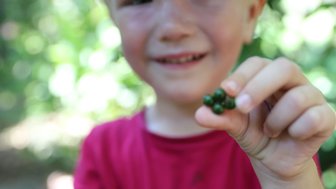 Kleines Kind zeigt stolz Kakaobohnen bei Don Juan – Costa Rica Reise mit Kindern