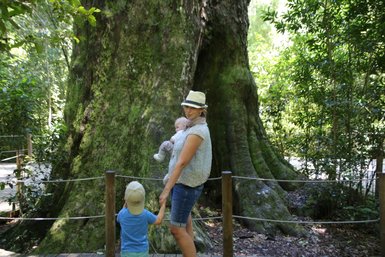 Mutter mit Baby und Kind vor großem Baum im Tsitsikamma Nationalpark – Garden Route Reise mit Kindern